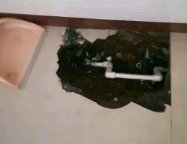 临漳卫生间测漏水多少钱